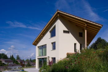Blickfang Dach